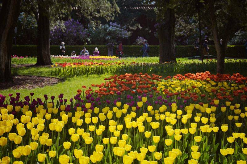 华体会体育网址-北半马、CBA、中超轮番登场，“超级周末”燃动京城